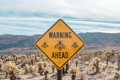 caution-1024×683-1