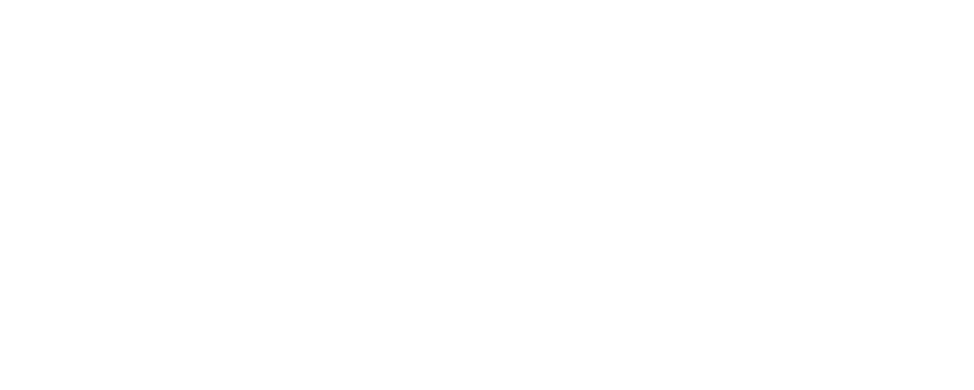 Pro Financial Group Logo